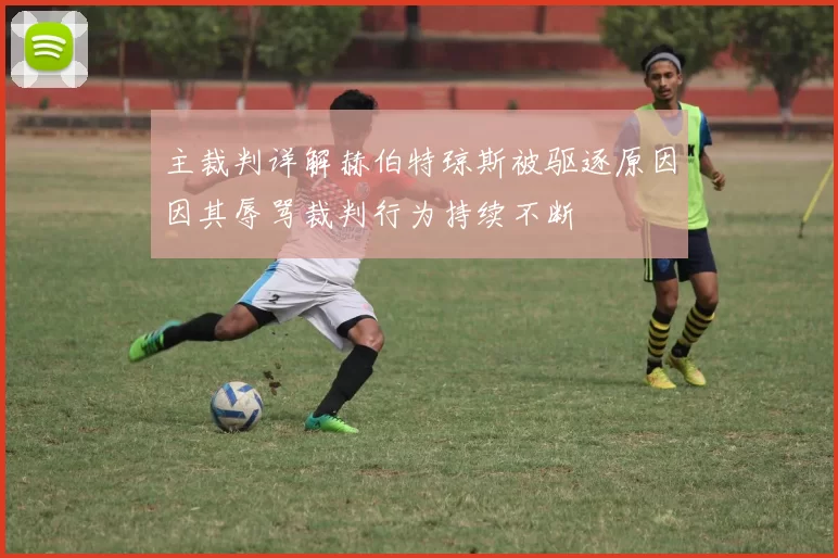 主裁判详解赫伯特琼斯被驱逐原因因其辱骂裁判行为持续不断